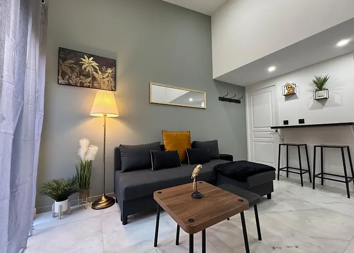 Chic Duplex Lyon Avec Terrasse Vénissieux