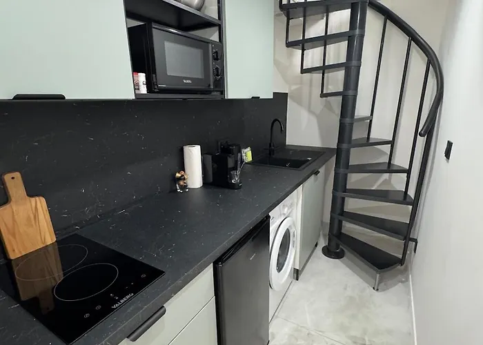 Chic Duplex Lyon Avec Terrasse * Vénissieux