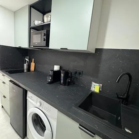 Chic Duplex Lyon Avec Terrasse * Venissieux
