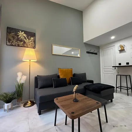 Chic Duplex Lyon Avec Terrasse Venissieux