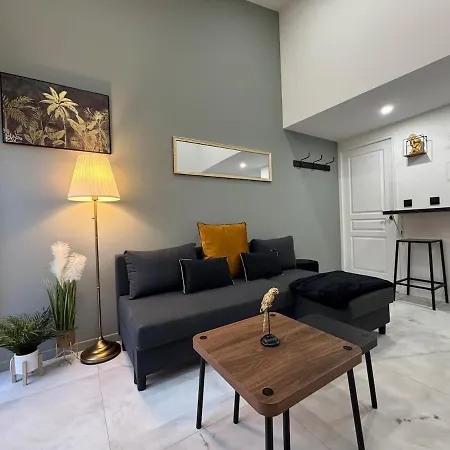 Chic Duplex Lyon Avec Terrasse Holiday home Venissieux